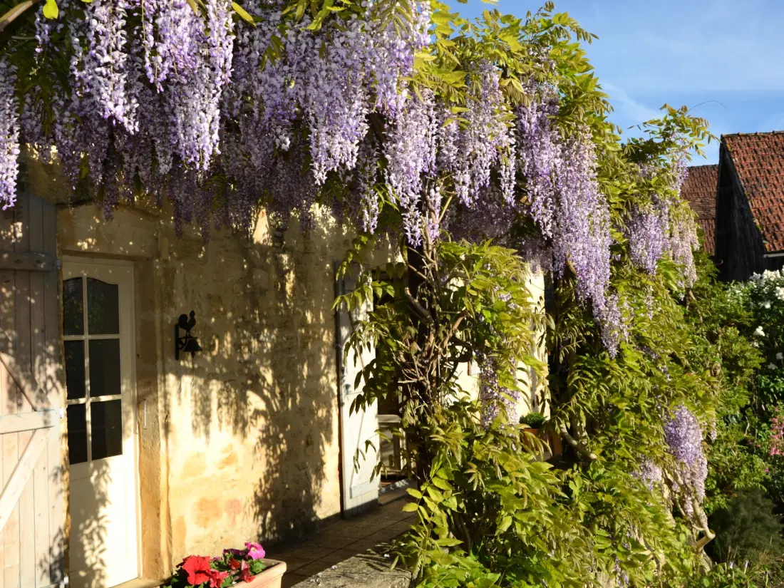 Maison de Vacances Carlux