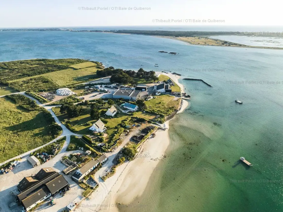 Location de Vacances Carnac 300