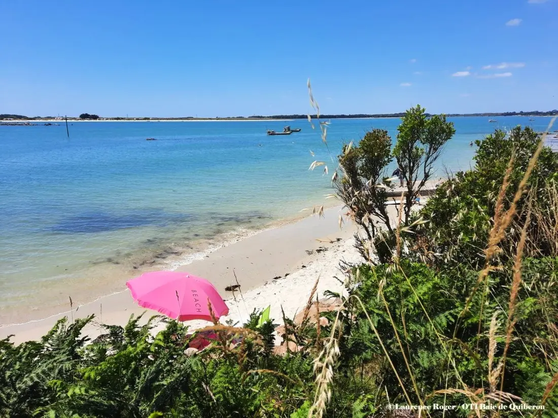 Maison de Vacances Carnac 262