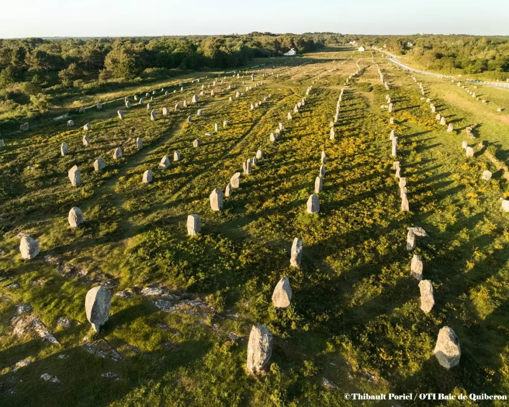 Résidence Bleu Oceane Carnac