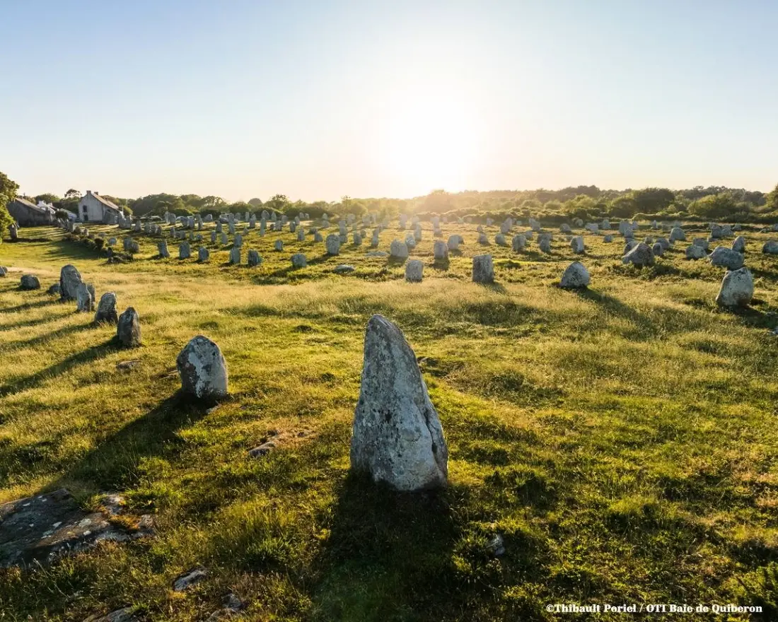 Résidence Salicornia