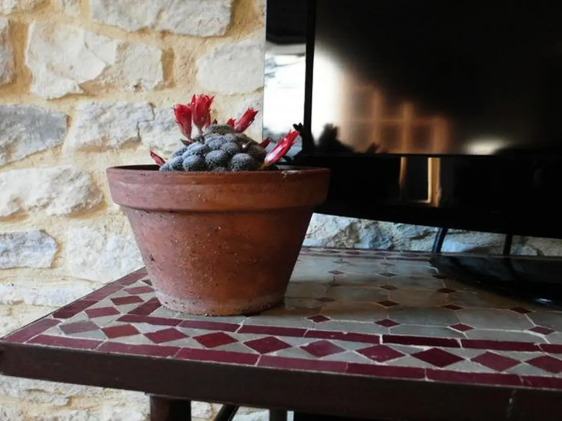 Maison de Vacances Carnas