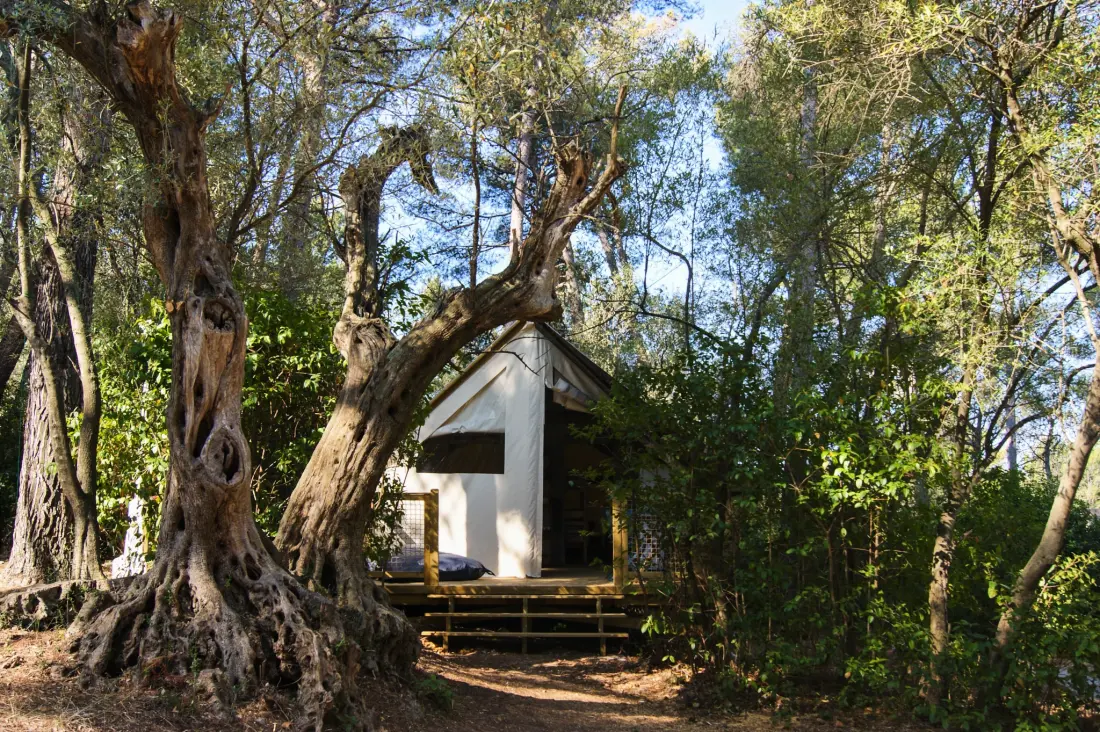 Camping Le BeauVezé 4 étoiles★★★★