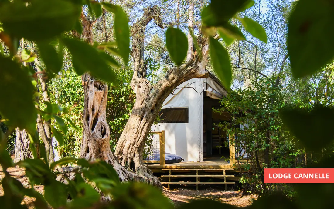 Camping Le BeauVezé 4 étoiles★★★★