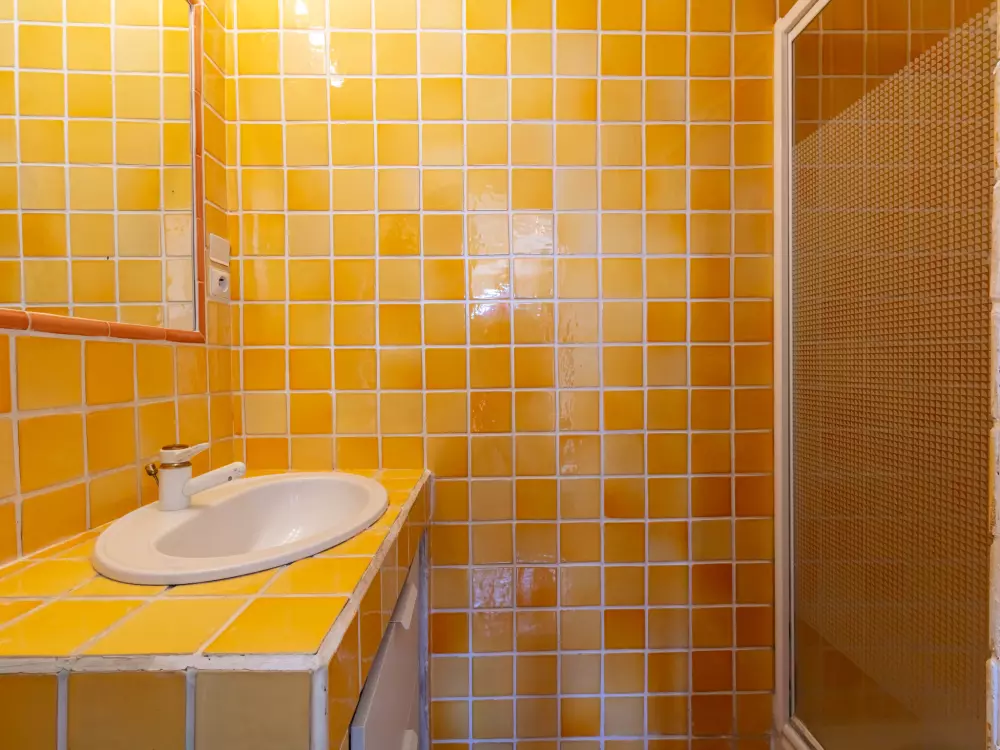 Maison de Vacances Carqueiranne