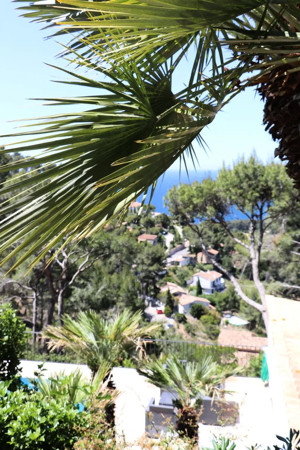 Résidence "Mesomax" mit Meerblick