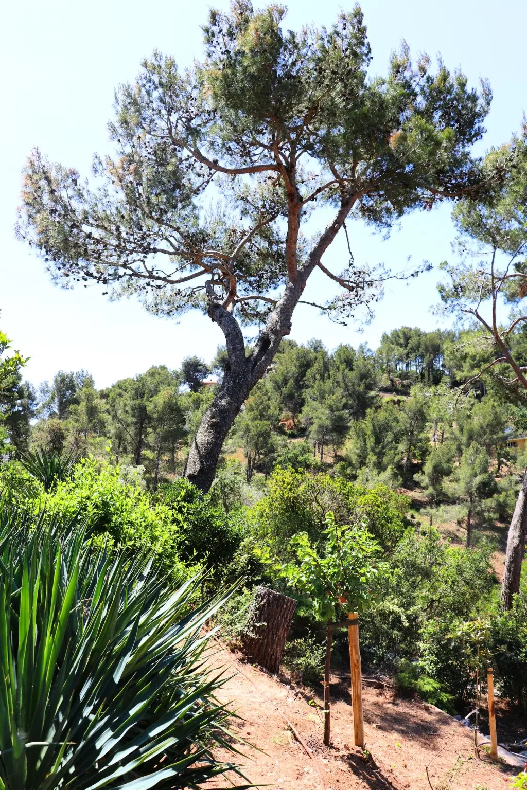 Résidence "Mesomax" mit Meerblick