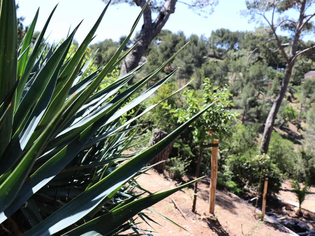 Résidence "Mesomax" mit Meerblick