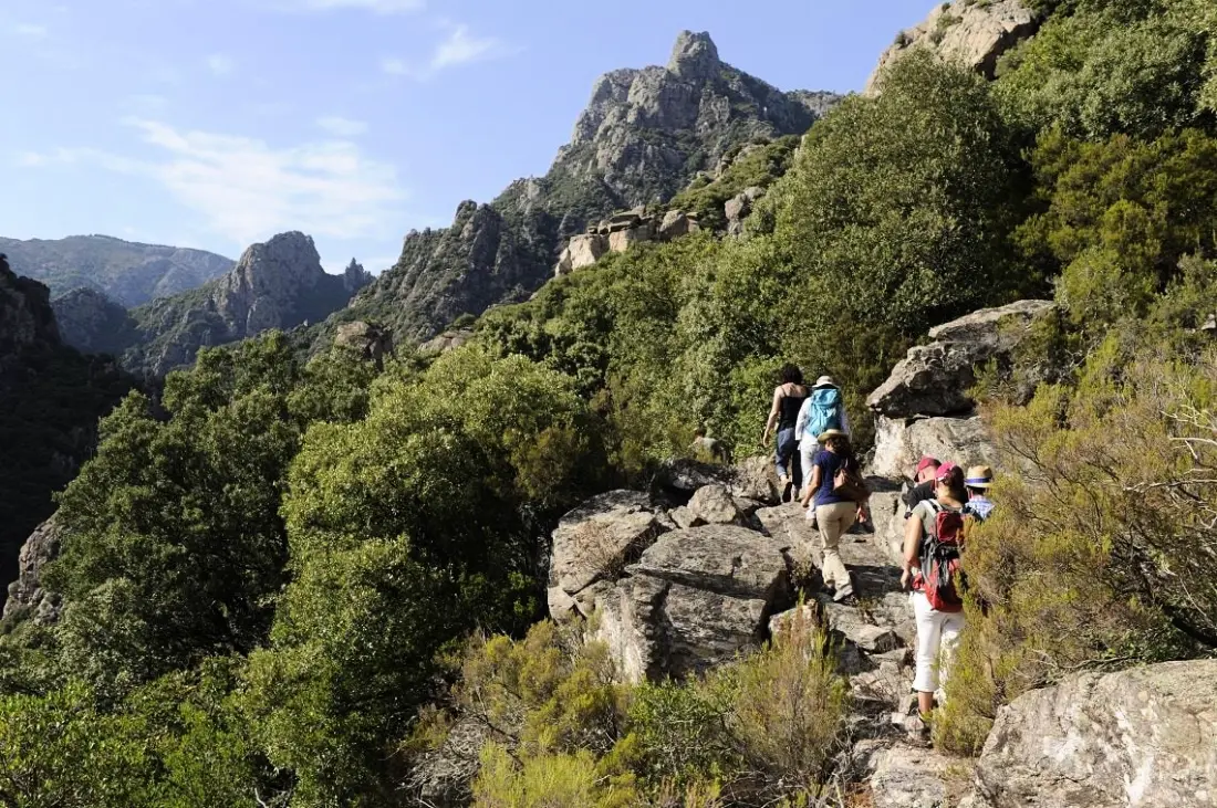 Camping Résidentiel La Pinède 4 étoiles★★★★