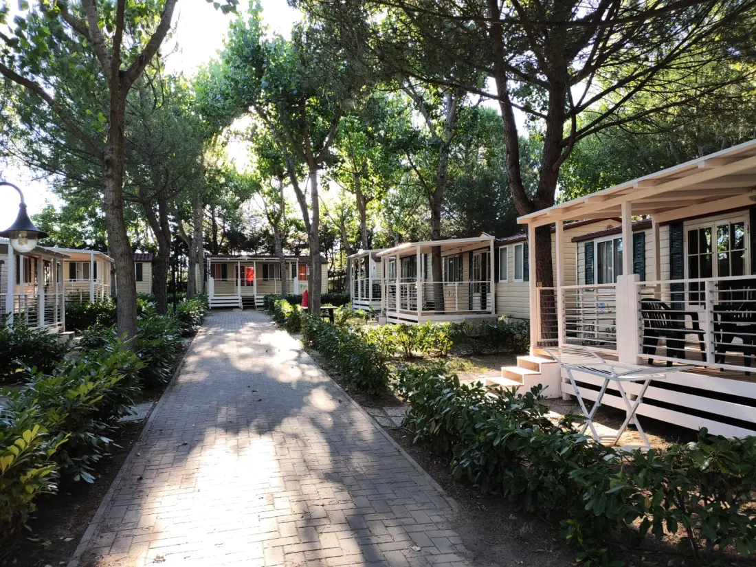 CAMPING VILLAGE BADIACCIA 4 étoiles★★★★