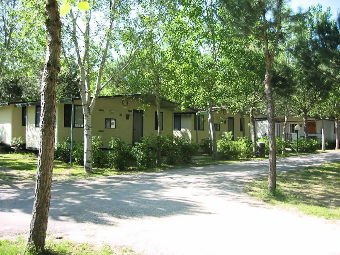 CAMPING VILLAGE BADIACCIA 4 étoiles★★★★