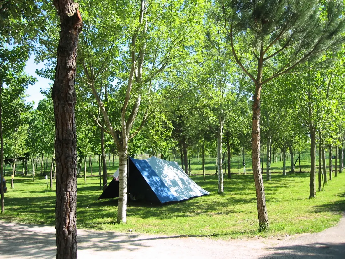 CAMPING VILLAGE BADIACCIA 4 étoiles★★★★