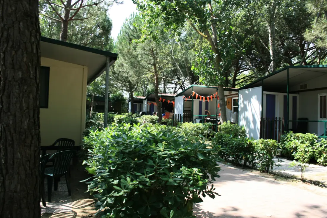 CAMPING VILLAGE BADIACCIA 4 étoiles★★★★