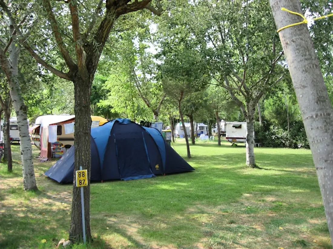 CAMPING VILLAGE BADIACCIA 4 étoiles★★★★