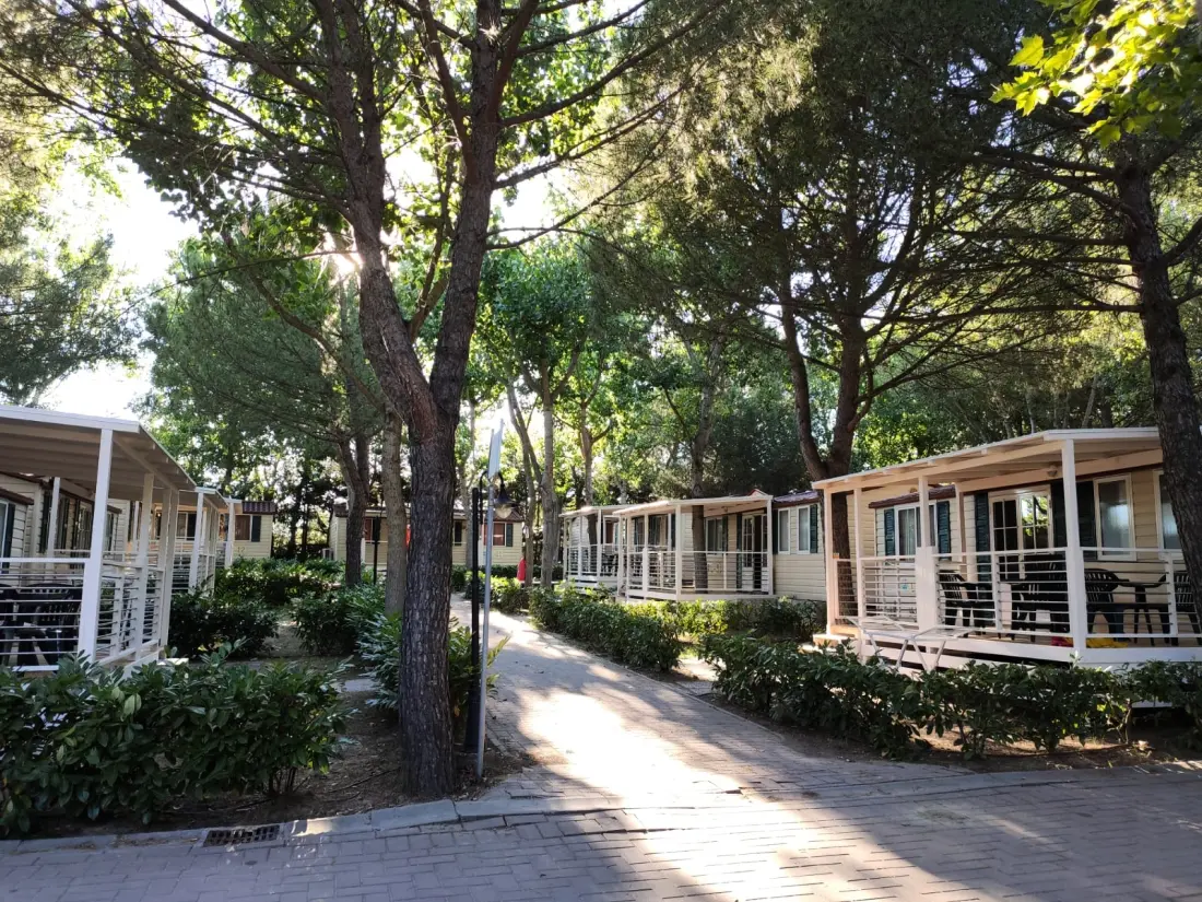CAMPING VILLAGE BADIACCIA 4 étoiles★★★★