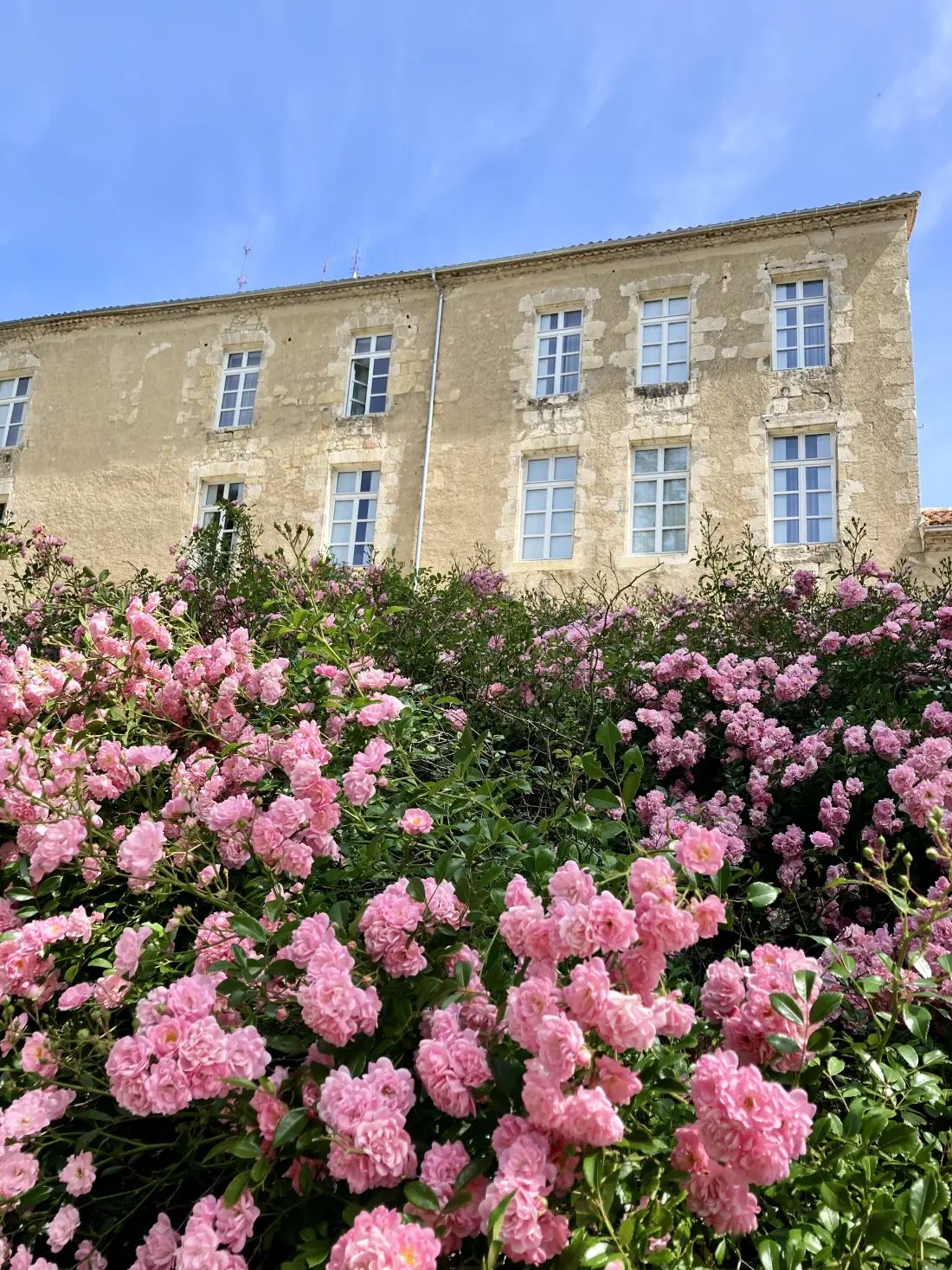 Hôtel Château de Mons en Armagnac