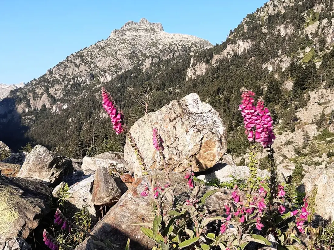 Location de Vacances Cauterets 211