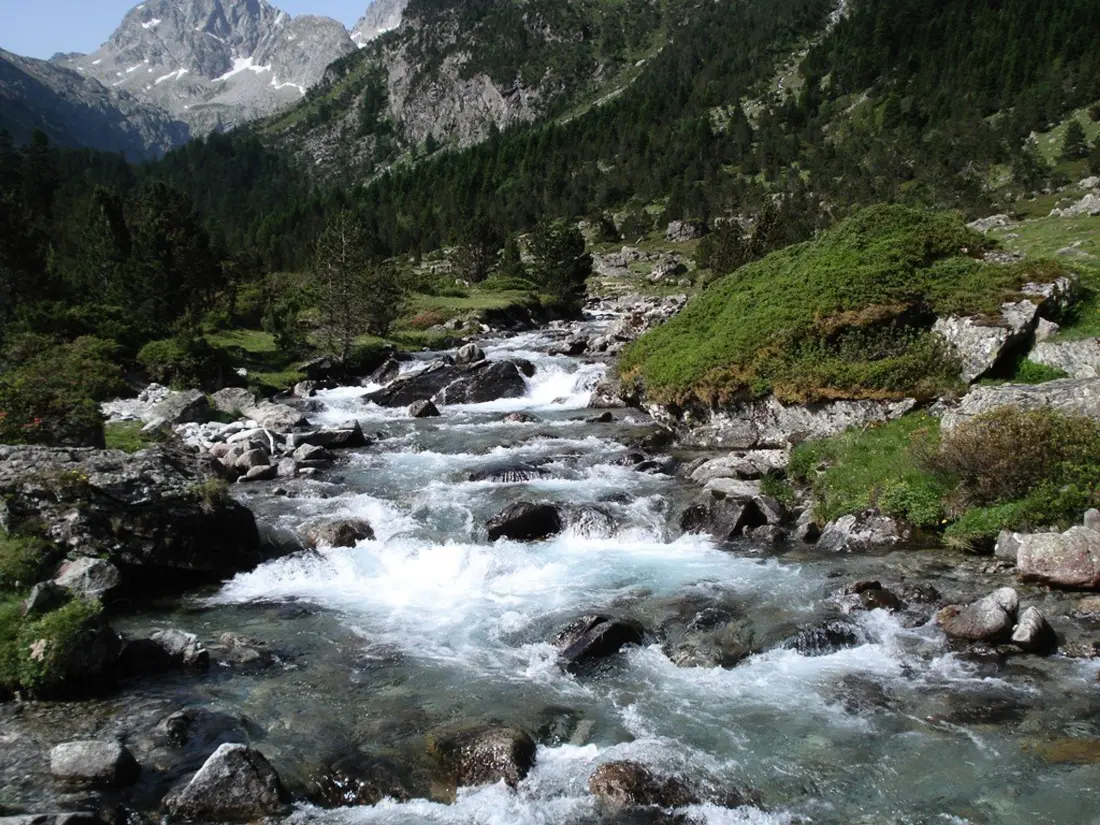 Location de Vacances Cauterets 486