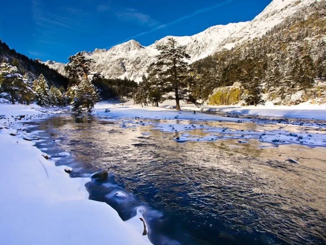 Location de Vacances Cauterets 543