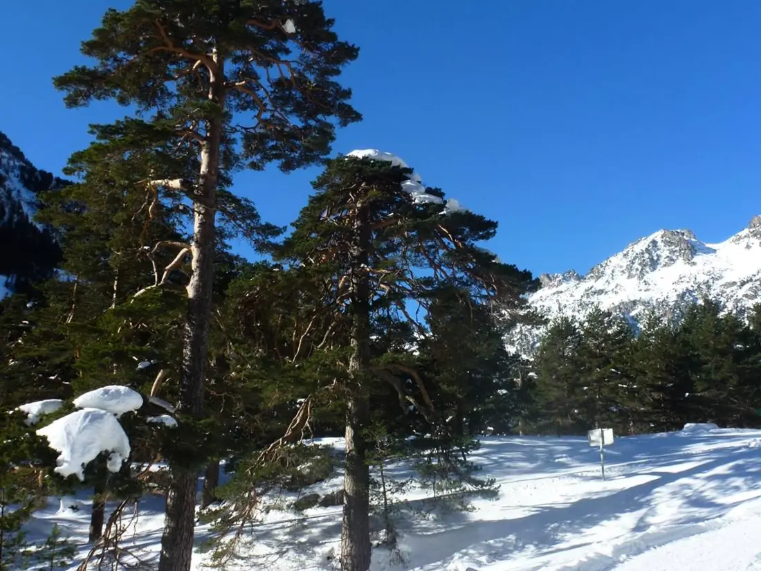 Location de Vacances Cauterets 646