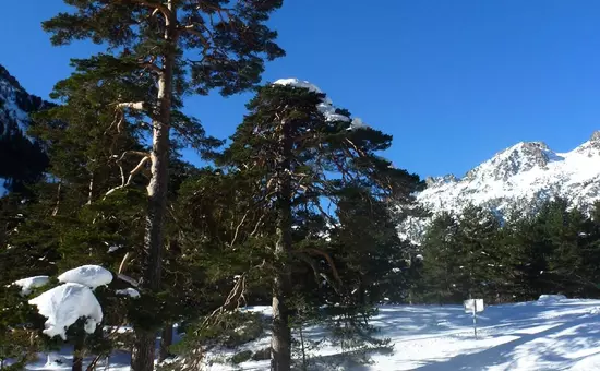 Location de Vacances Cauterets 646