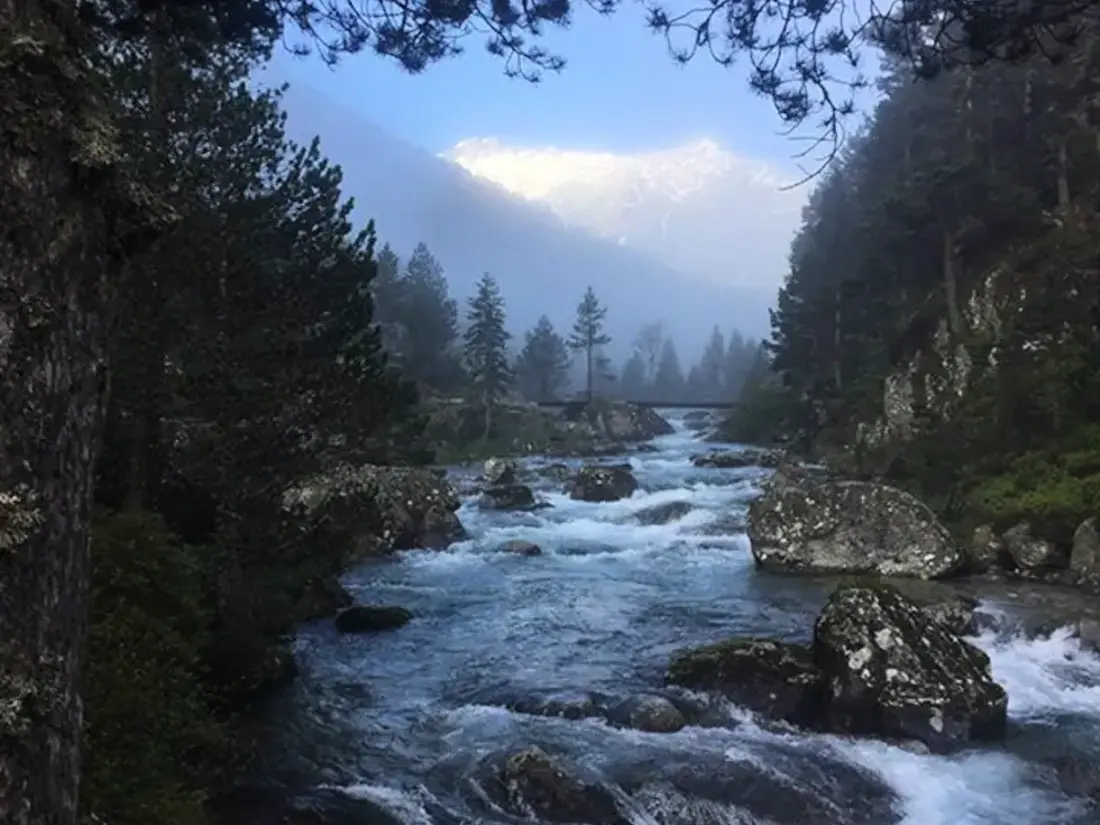 Location de Vacances Cauterets 665