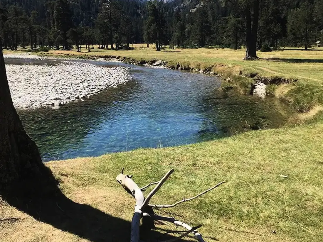 Location de Vacances Cauterets 665