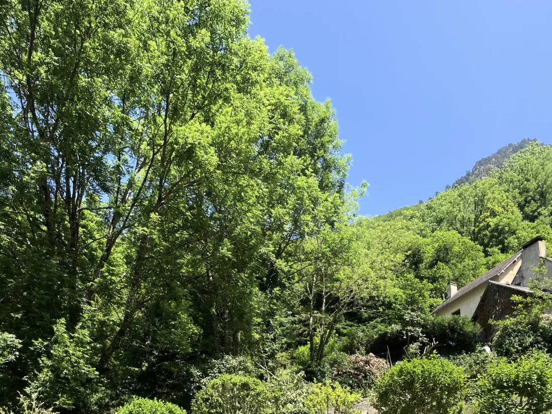Location de Vacances Cauterets 843