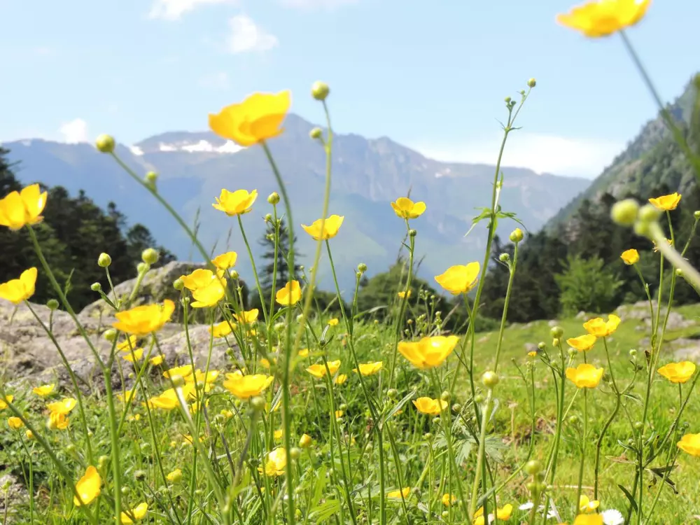 Location de Vacances Cauterets 865