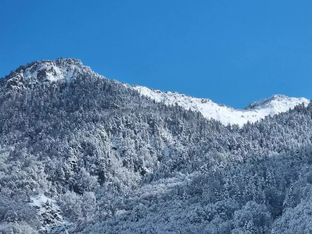 Location de Vacances Cauterets 869