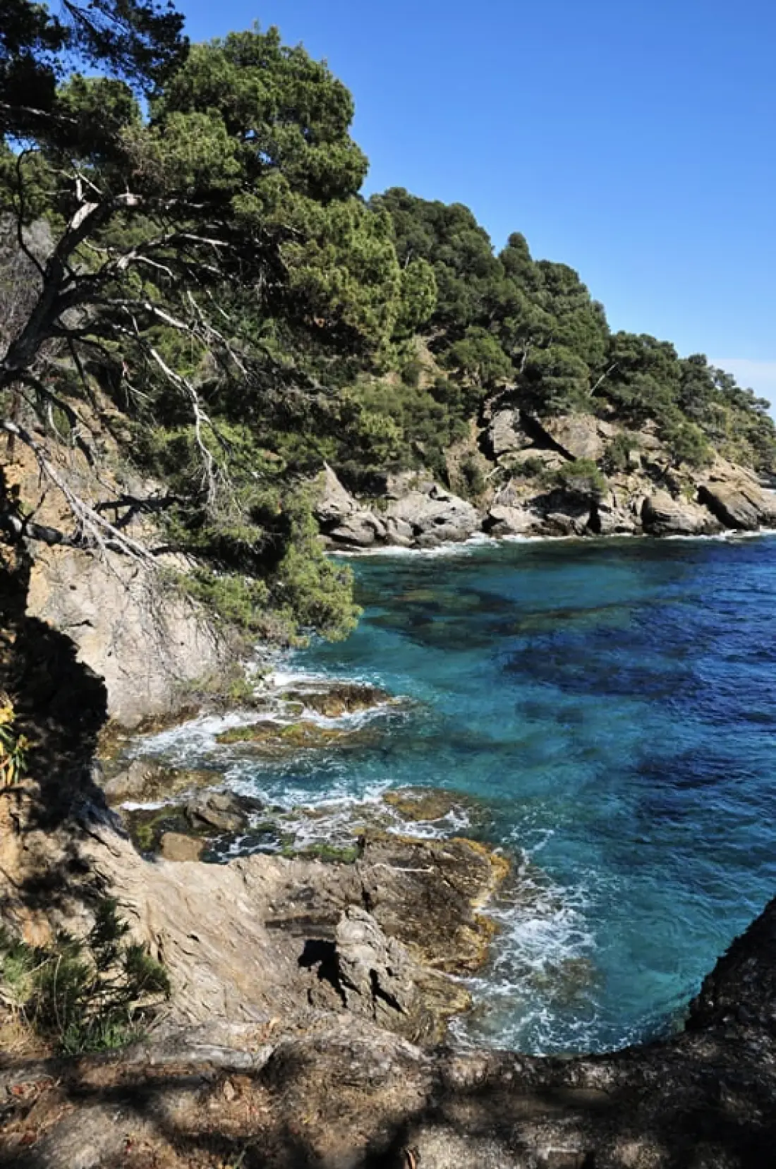 Incroyable Vue Mer Jardin Calme à La Villa Oscar