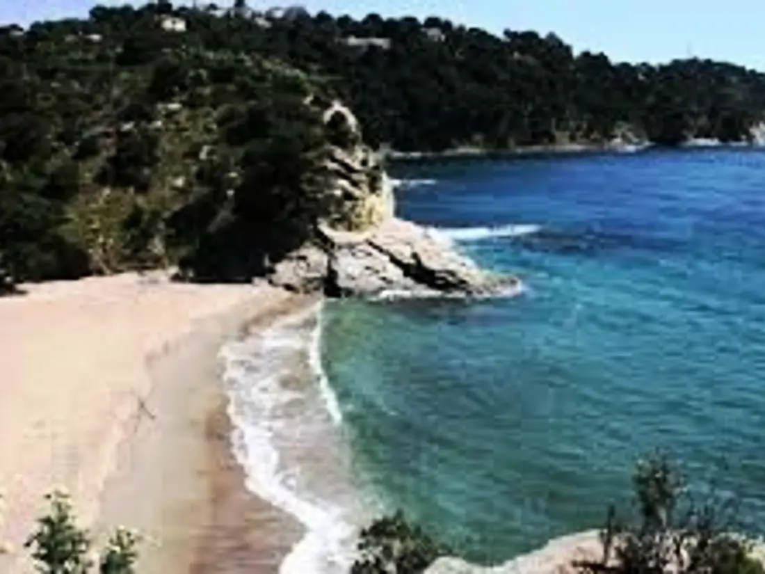 Location de Vacances Cavalaire-sur-Mer 105
