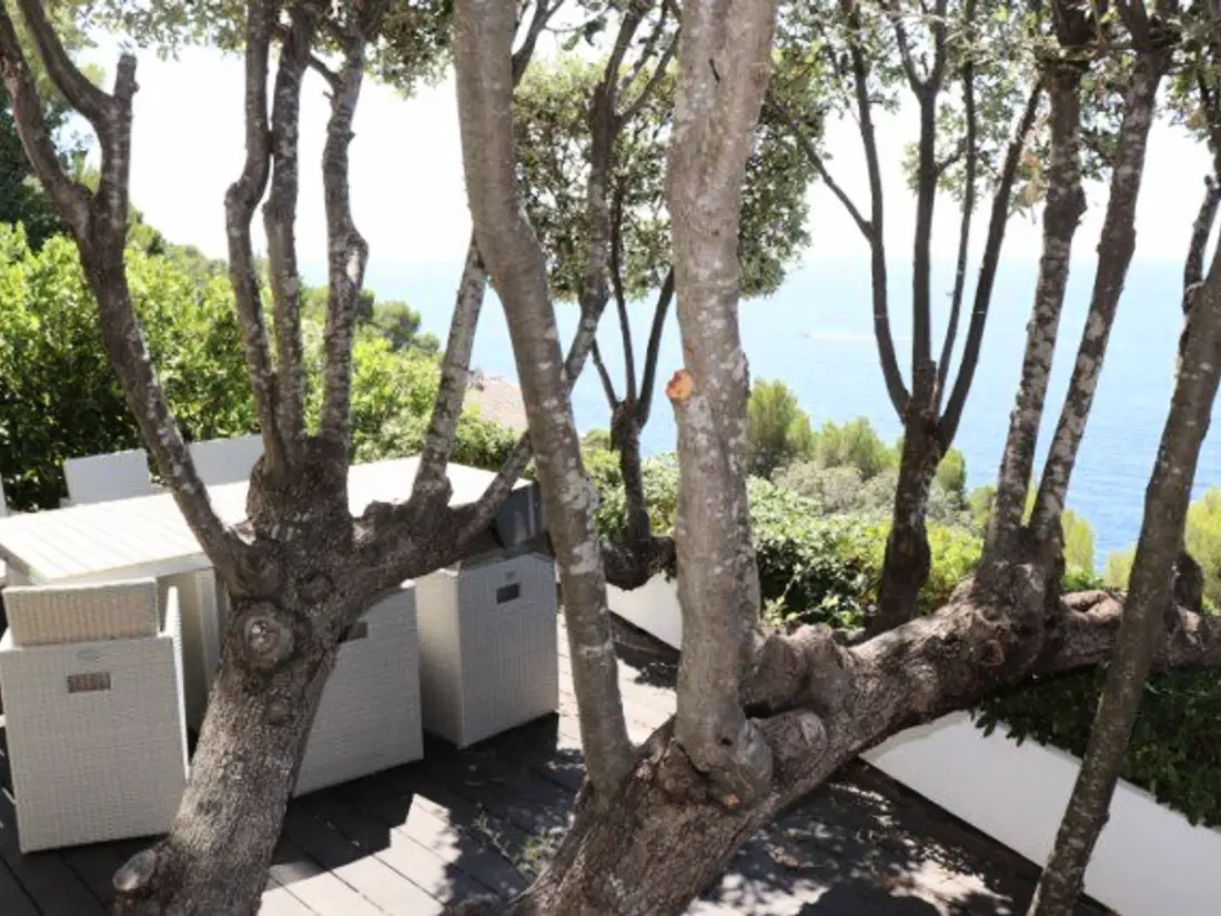 Maison de Vacances Cavalaire-sur-Mer 211