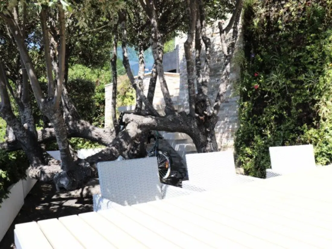 Maison de Vacances Cavalaire-sur-Mer 211