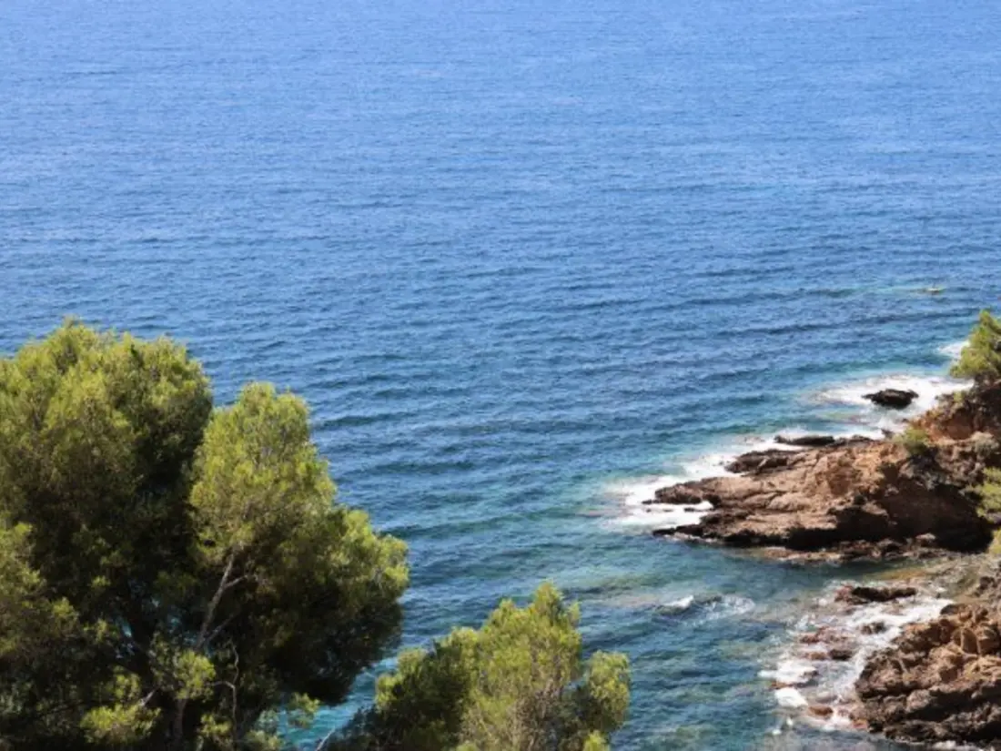 Maison de Vacances Cavalaire-sur-Mer 211