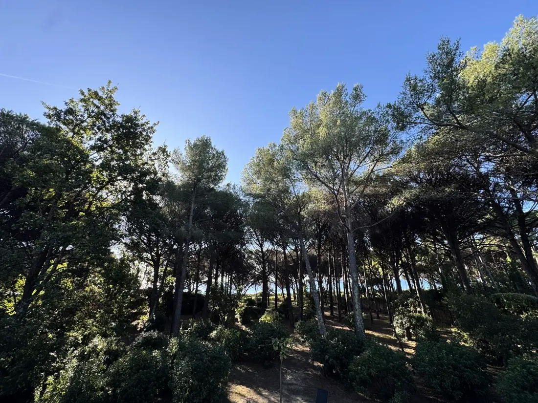 Maison de Vacances Cavalaire-sur-Mer 332