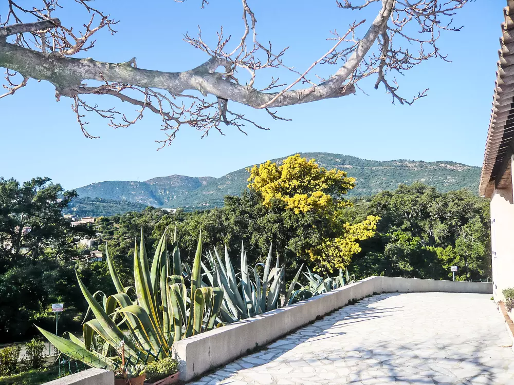 Maison de Vacances Cavalaire