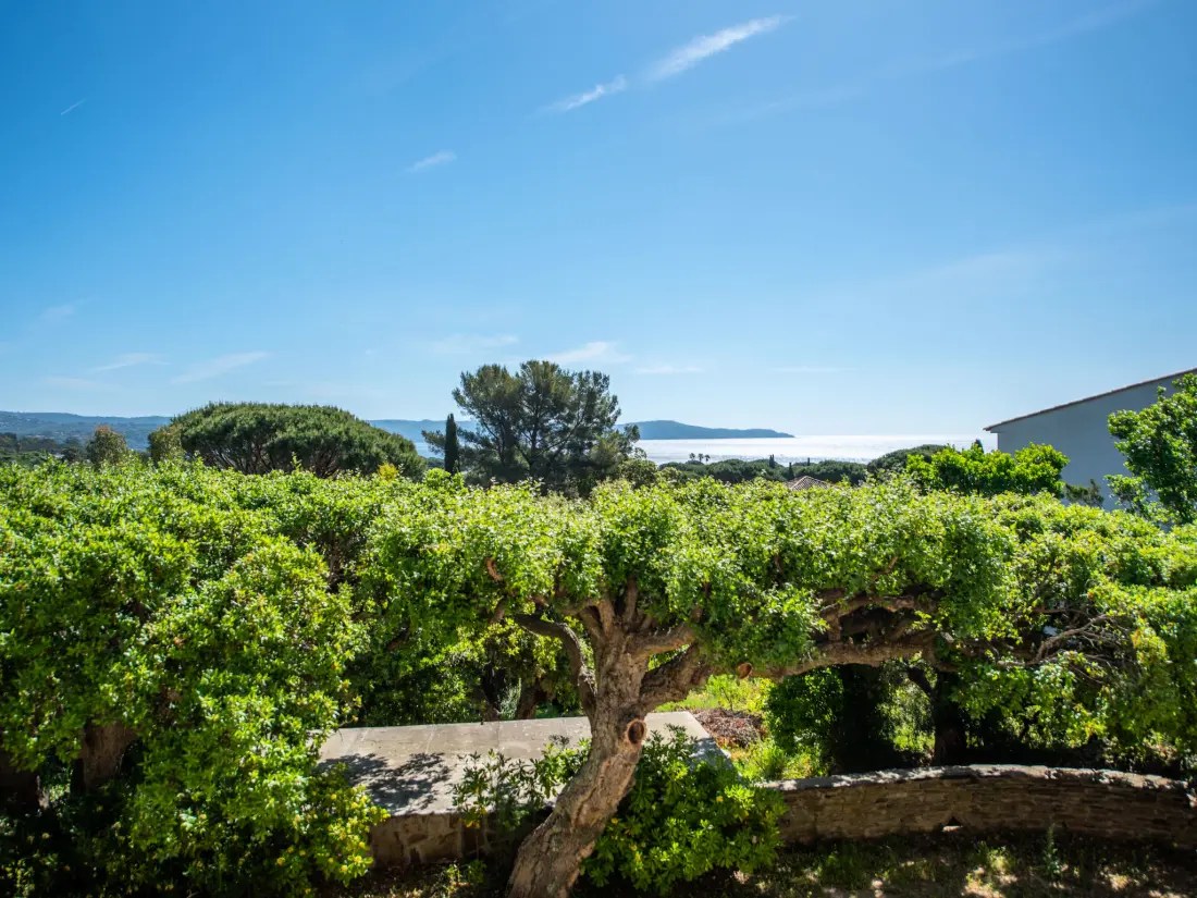 Maison de Vacances Cavalaire