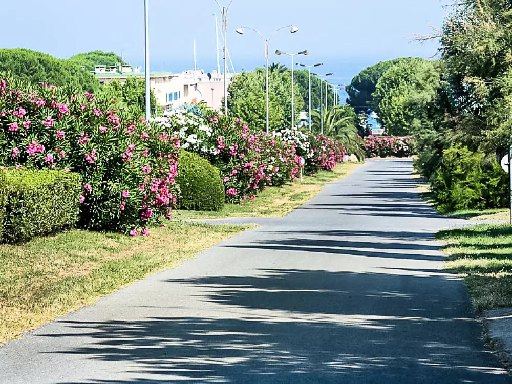 Résidence les Oiseaux