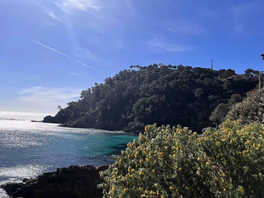 Résidence Les Terrasses Du Ponant