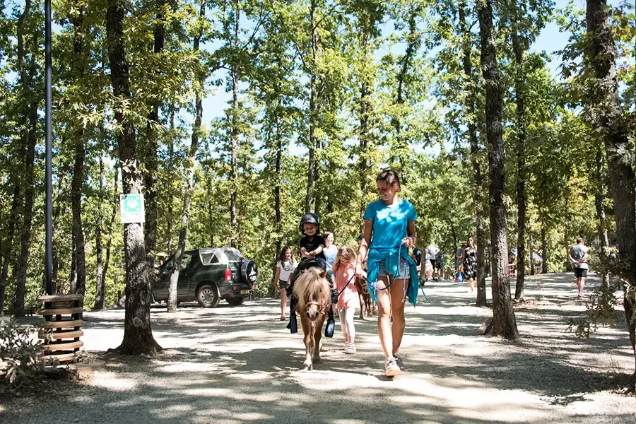 Camping Chianti Glamping Resort