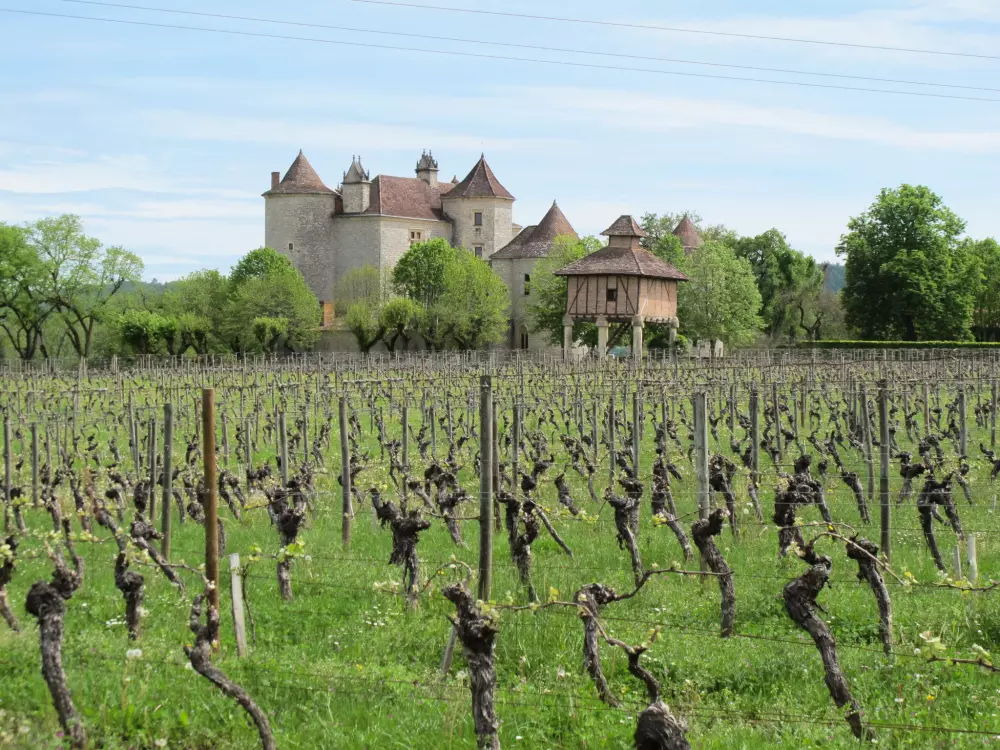 Maison de Vacances Cazals