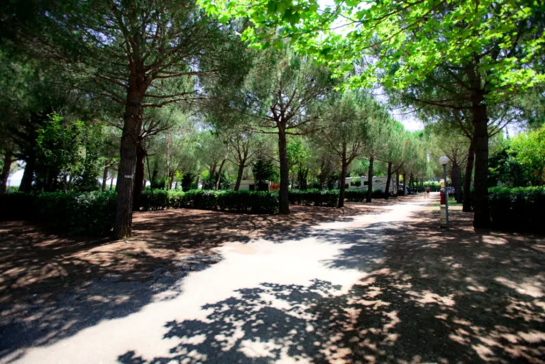 Club del Sole Le Gorette Cecina Easy Camping Village 4 étoiles★★★★