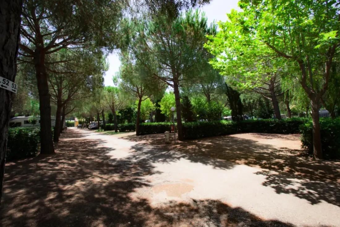 Club del Sole Le Gorette Cecina Easy Camping Village 4 étoiles★★★★