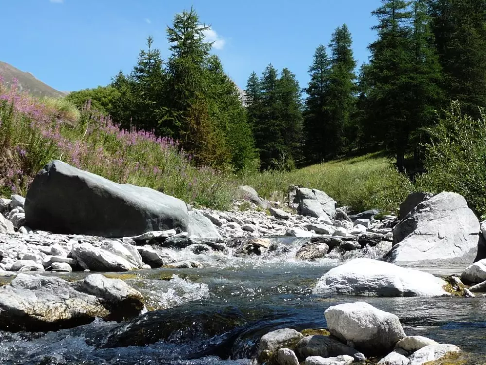 VVF Ceillac-en-Queyras 3 étoiles★★★