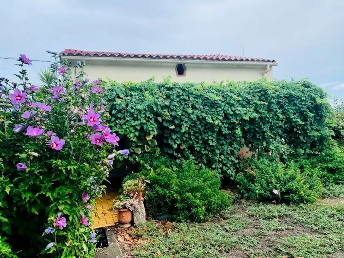 Maison de Vacances Céret 12