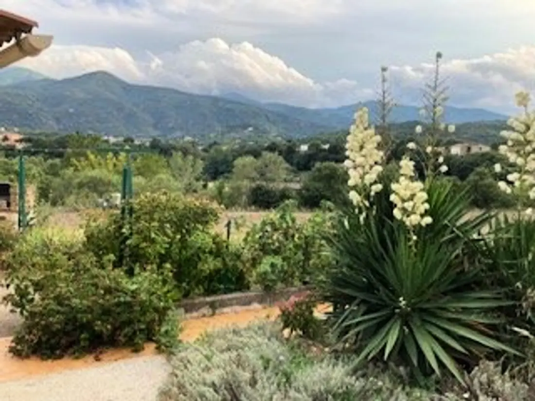 Maison de Vacances Céret 12