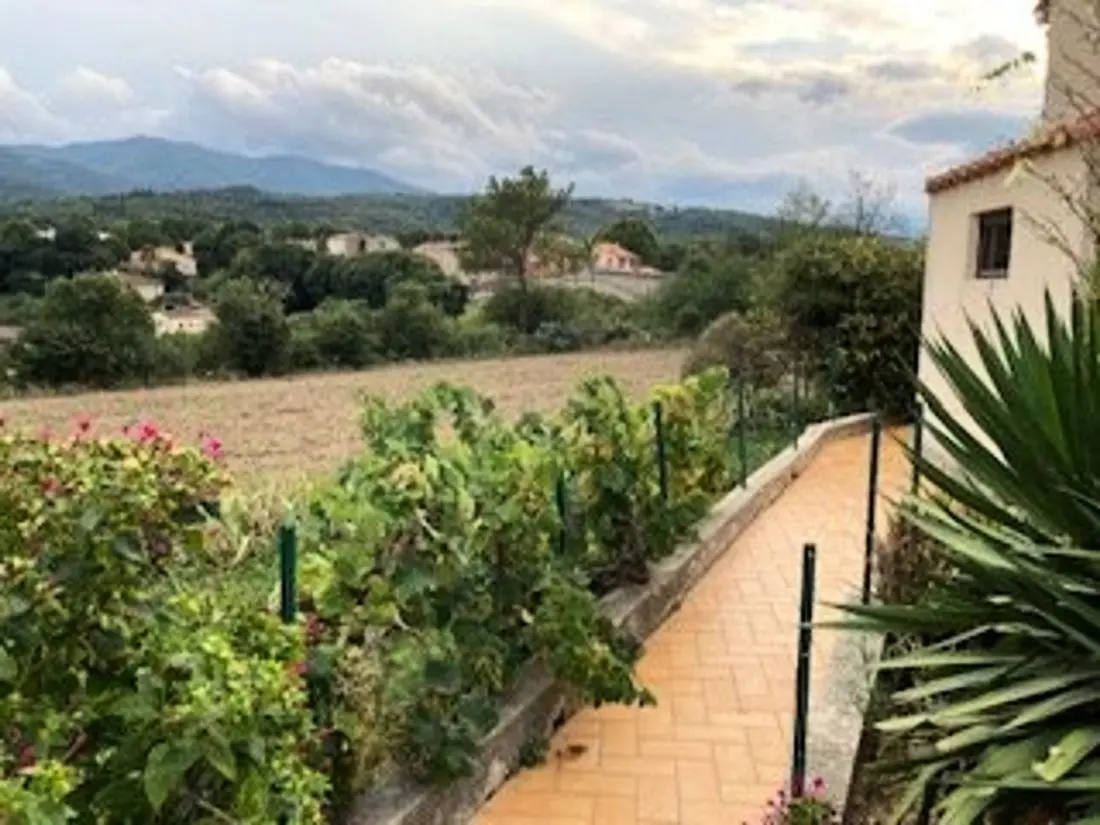 Maison de Vacances Céret 12