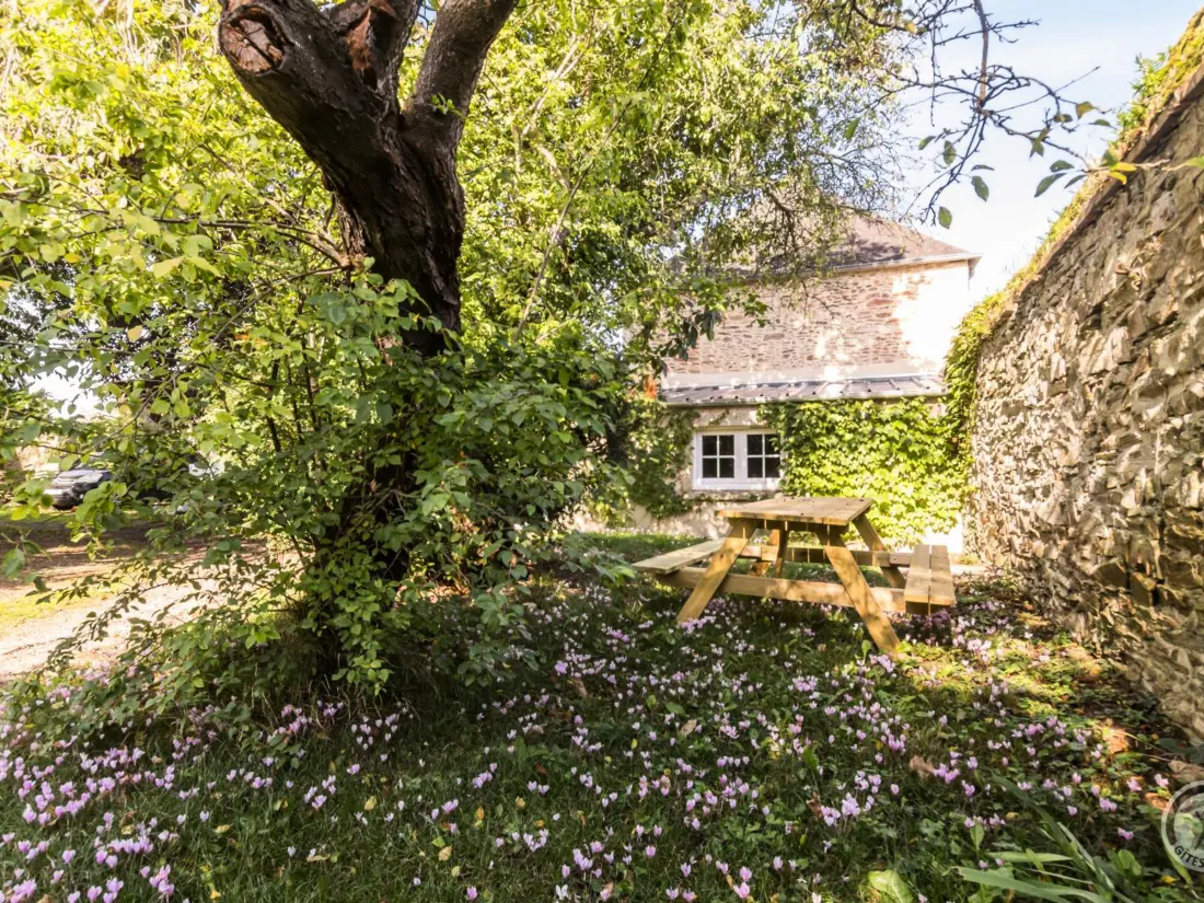 Maison de Vacances Cerisy-la-Forêt 5