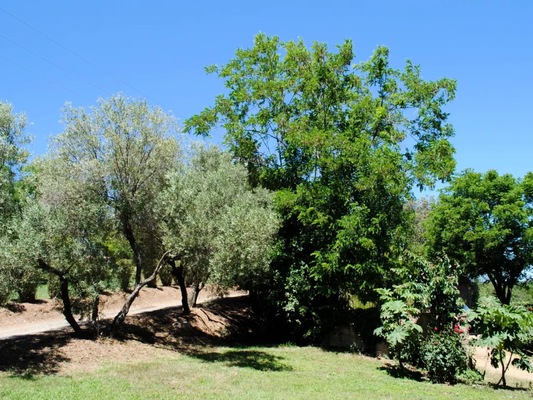 Maison de Vacances Cervione